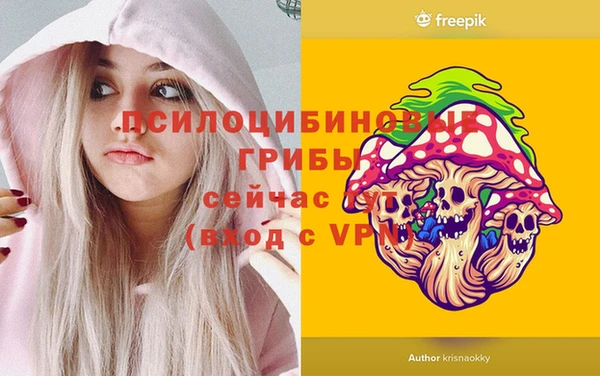 эйфоретик Армянск