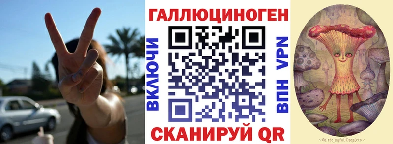 дарнет шоп  Курганинск  гидра ONION  мориарти формула  Псилоцибиновые грибы GOLDEN TEACHER 